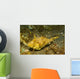 Strapweed Filefish Lembeh Strait Wall Decal Design 2
