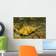 Strapweed Filefish Lembeh Strait Wall Decal Design 2