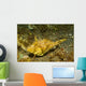 Strapweed Filefish Lembeh Strait Wall Decal Design 2
