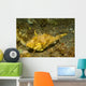 Strapweed Filefish Lembeh Strait Wall Decal Design 2