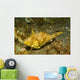 Strapweed Filefish Lembeh Strait Wall Decal Design 2