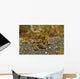 Decorator Crab Covered Debris Wall Decal