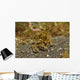 Decorator Crab Covered Debris Wall Decal