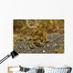 Decorator Crab Covered Debris Wall Decal