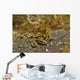 Decorator Crab Covered Debris Wall Decal
