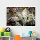 Pair Giant Frogfish Blend Wall Decal