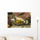 Spectacled Filefish Cantherhines Fronticinctus Wall Decal