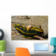 Tambja Gabrielae Nudibranch with Wall Decal