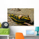 Tambja Gabrielae Nudibranch with Wall Decal