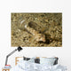 Fingered Dragonet Female Ocean Wall Decal