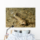 Fingered Dragonet Female Ocean Wall Decal