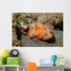 Flasher Socrpionfish Scorpaenopsis Macrochir Wall Decal Design 2