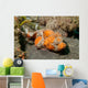 Flasher Socrpionfish Scorpaenopsis Macrochir Wall Decal Design 2