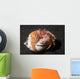 Anemone Hermit Crab Lembeh Wall Decal