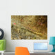 Ringed Pipefish Carries Its Wall Decal