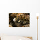 Snowflake Moray Eel Echidna Wall Decal