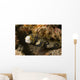 Snowflake Moray Eel Echidna Wall Decal