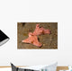 Pair Three-lobed T-bar Nudibranchs Wall Decal