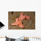 Pair Three-lobed T-bar Nudibranchs Wall Decal