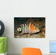 Redbreasted Wrasse Cheilinus Fasciatus Wall Decal