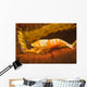 Emperor Shrimp Lives Sea Wall Decal Design 2