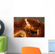 Emperor Shrimp Lives Sea Wall Decal Design 1