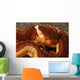 Emperor Shrimp Lives Sea Wall Decal Design 1