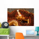 Emperor Shrimp Lives Sea Wall Decal Design 1