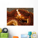 Emperor Shrimp Lives Sea Wall Decal Design 1