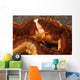 Emperor Shrimp Lives Sea Wall Decal Design 1