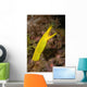 Female Ribbon Eel Rhinomuraena Wall Decal