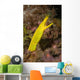 Female Ribbon Eel Rhinomuraena Wall Decal
