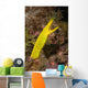 Female Ribbon Eel Rhinomuraena Wall Decal
