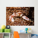Spotted Porcelain Crab Lives Wall Decal