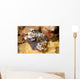 Pair Harlequin Shrimp Lembeh Wall Decal