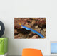 Male Ribbon Eel Emerging Wall Decal