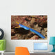Male Ribbon Eel Emerging Wall Decal
