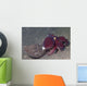 Coconut Octopus Sits Coconut Wall Decal