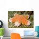 Granular Sea Star Choriaster Wall Decal