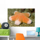 Granular Sea Star Choriaster Wall Decal