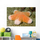 Granular Sea Star Choriaster Wall Decal