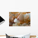Bubble Coral Shrimp Lembeh Wall Decal Design 2