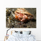 Anemone Hermit Crab Carries Wall Decal Design 1