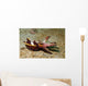Flamboyant Cuttlefish Lembeh Strait Wall Decal
