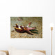 Flamboyant Cuttlefish Lembeh Strait Wall Decal