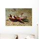 Flamboyant Cuttlefish Lembeh Strait Wall Decal
