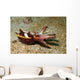 Flamboyant Cuttlefish Lembeh Strait Wall Decal