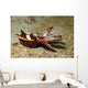 Flamboyant Cuttlefish Lembeh Strait Wall Decal
