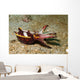 Flamboyant Cuttlefish Lembeh Strait Wall Decal