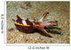 Flamboyant Cuttlefish Lembeh Strait Wall Decal